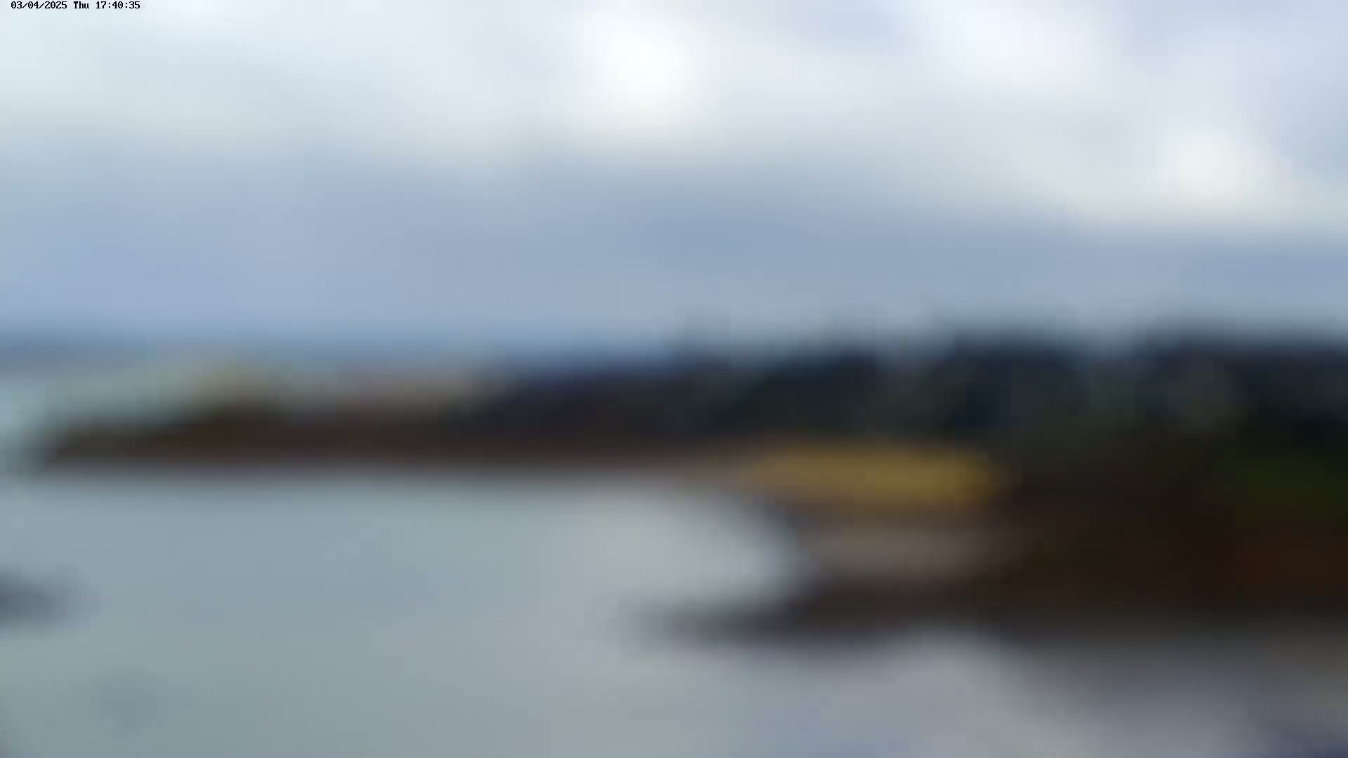 A blurry image shows a body of water next to a dark shoreline under an overcast sky.