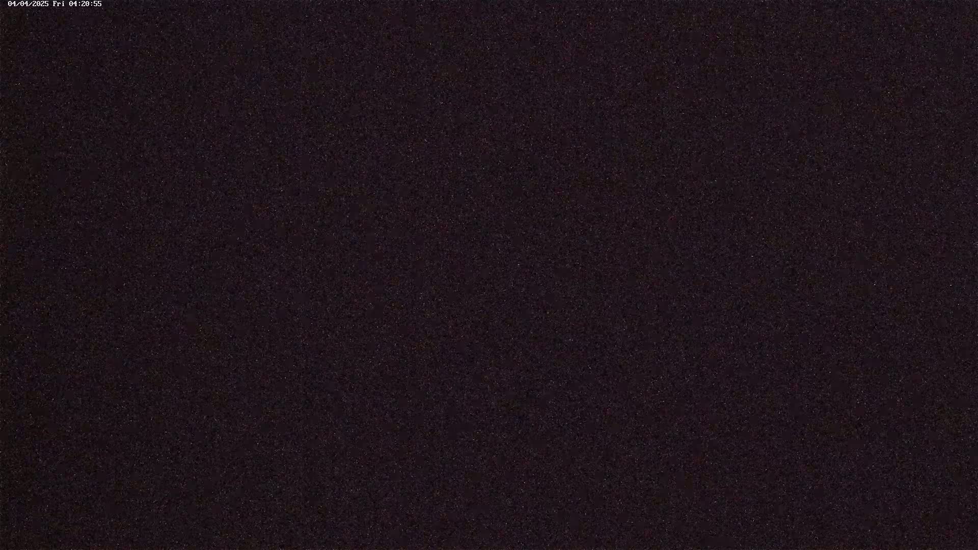 The image shows a dark, uniformly textured surface that appears to be at night.