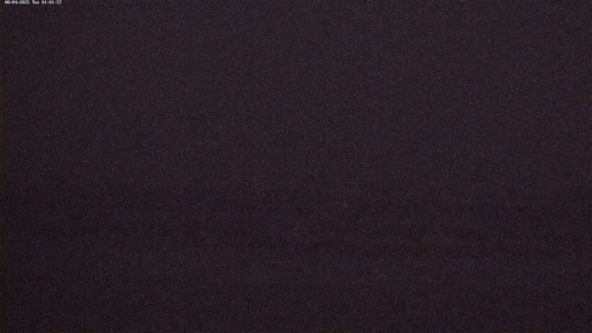 The image shows a dark, grainy, and uniformly textured surface.
