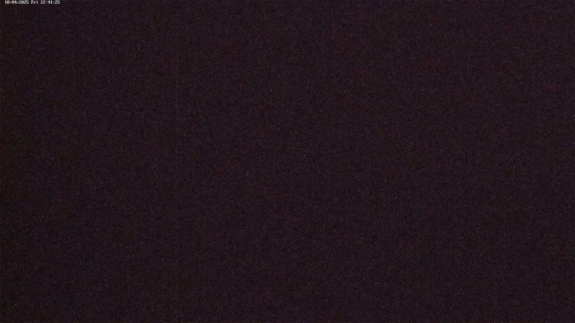 The image shows a dark, uniformly textured surface speckled with tiny lighter points.