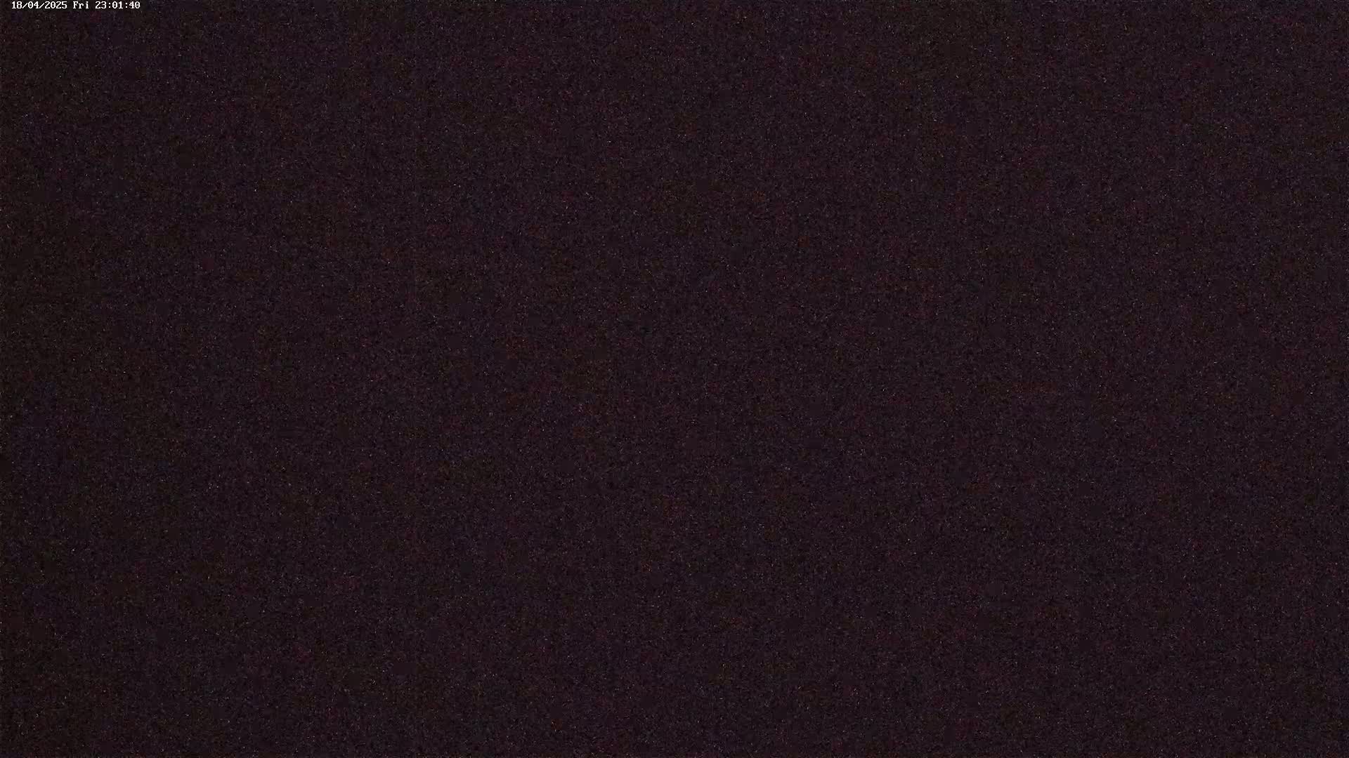 The image shows a dark, uniformly textured surface.