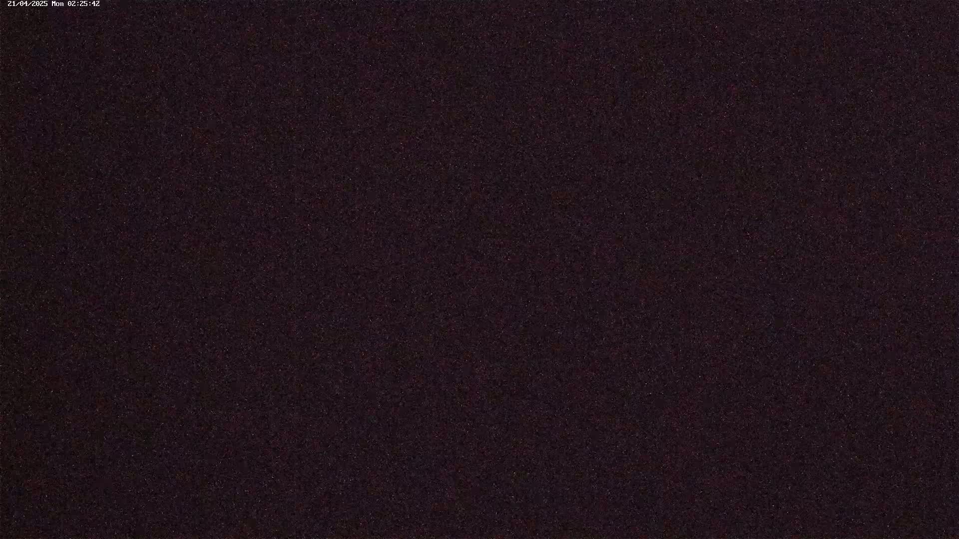 The image shows a dark, grainy, and uniformly textured surface.