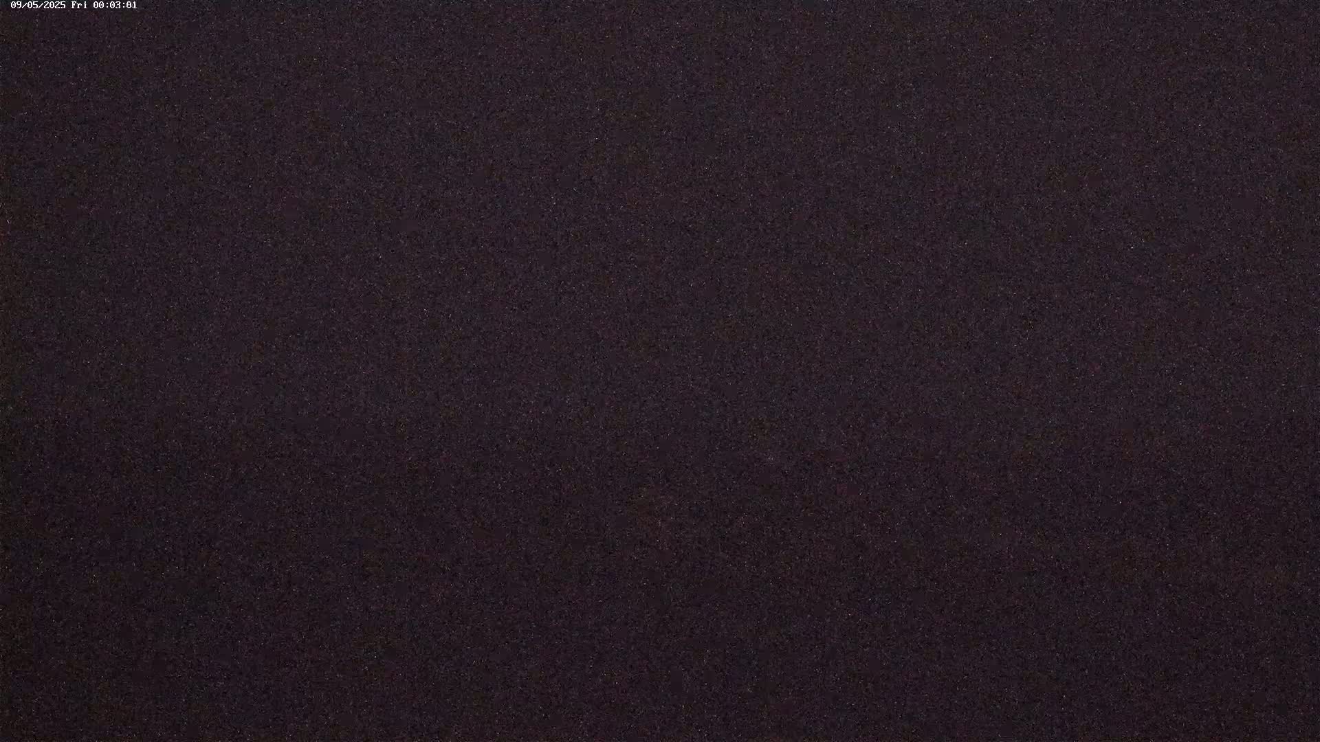 The image shows a dark, uniformly textured surface under what appears to be nighttime conditions.