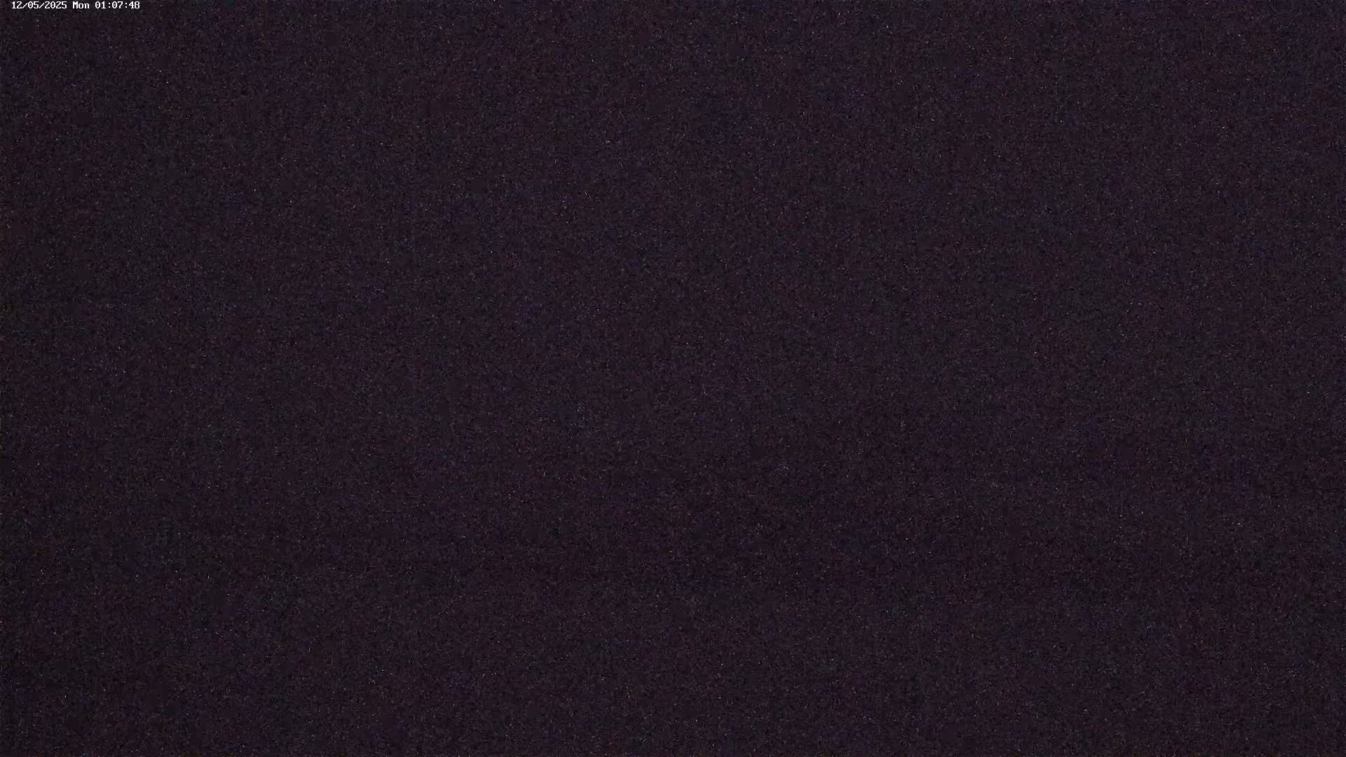 The image shows a dark purplish-gray textured surface.