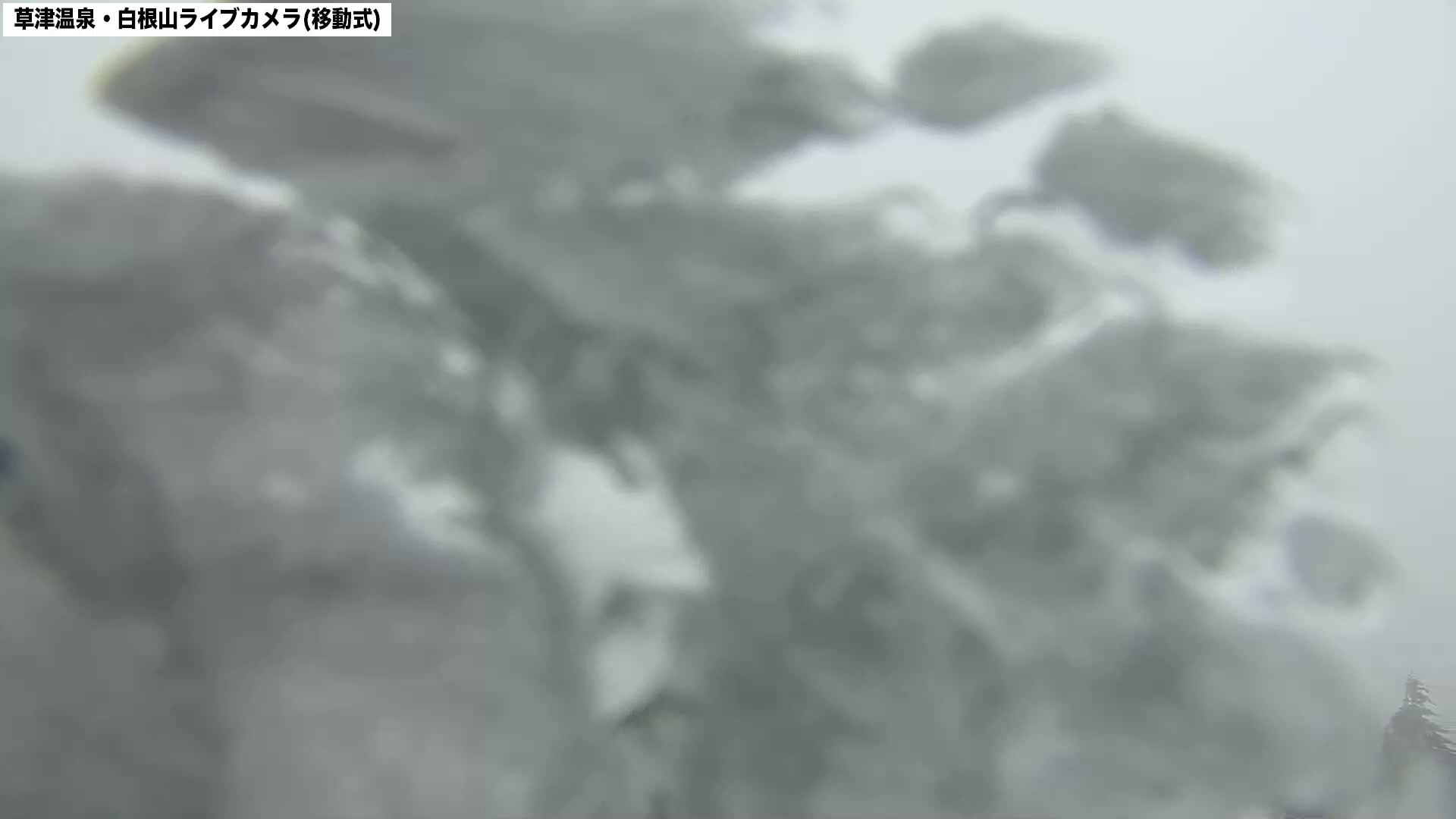 Gunma, Agatsuma Joshin’etsukogen National Park & Manza Onsen Ski Resort (群馬県・吾妻上信越高原国立公園＆万座温泉スキー場 ) Live Cam - Kusatsu, Agatsuma-gun , Gunma, Kantō, Honshu, Japan