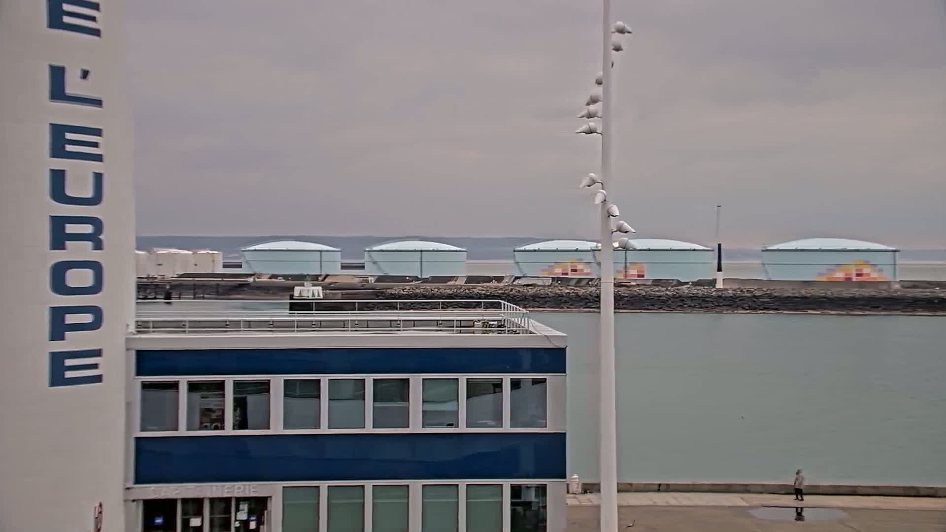 A blue building with a flat roof stands in the foreground, next to a tall pole with many birds perched on it, overlooking several light-blue industrial storage tanks under an overcast sky.