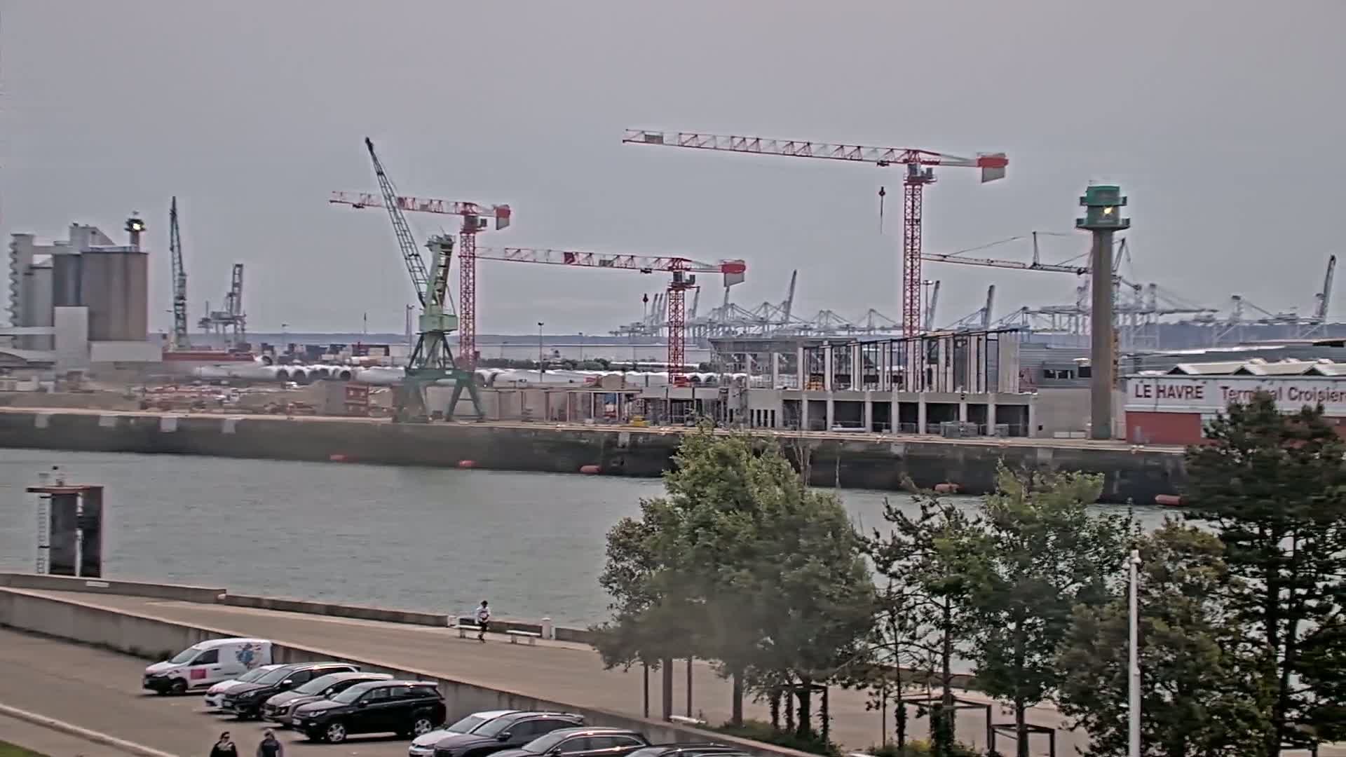 A harbor scene under an overcast sky shows several cranes at a construction site next to a body of water, with cars parked along a waterfront road and trees in the foreground.