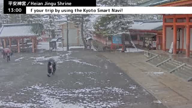 ( 京都 平安神宮 左京) Heian Jingu Shrine, Kyoto, Sakyo Live Cam - Okazaki Nishitennocho, Sakyo-ku , Kyoto, Kyōto, Kansai, Japan