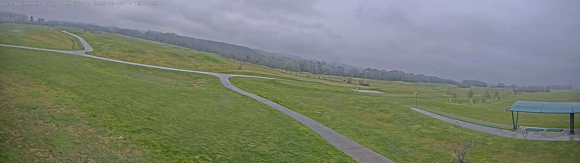 A golf course with paved pathways under an overcast sky.
