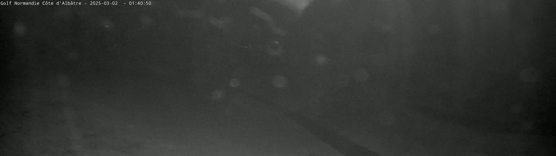 A dark, blurry nighttime image shows light snowfall.
