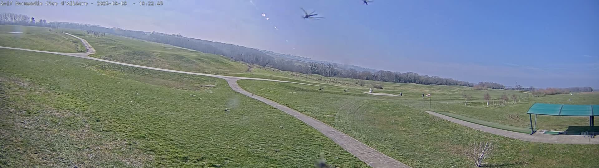 A wide, high-angle view shows a golf course on a sunny day with several birds flying overhead.