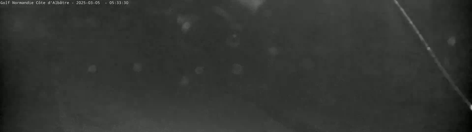 A dark, blurry nighttime scene shows light snow falling.