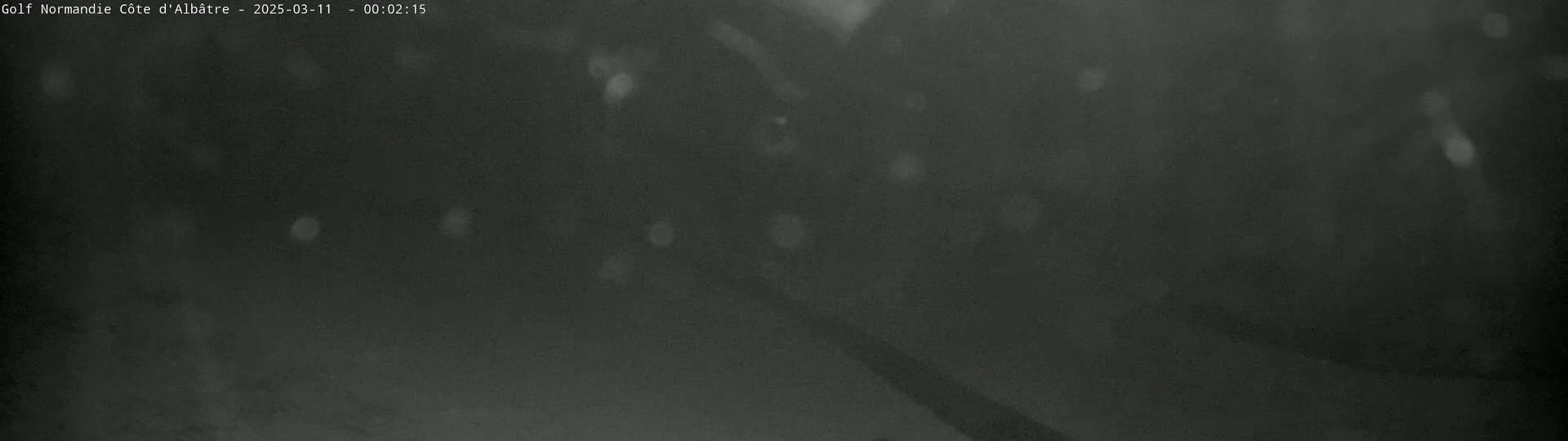 A dark, blurry, nighttime image shows a possible road or path under a lightly snowing sky.