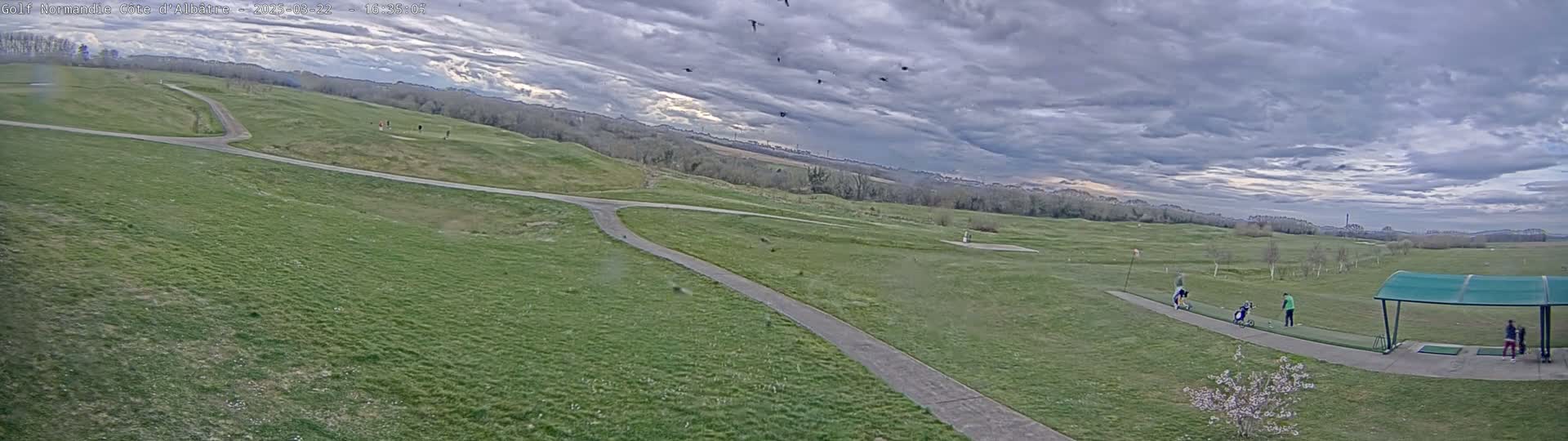 A wide view of a golf course with several people playing under a mostly cloudy sky, some birds flying overhead.