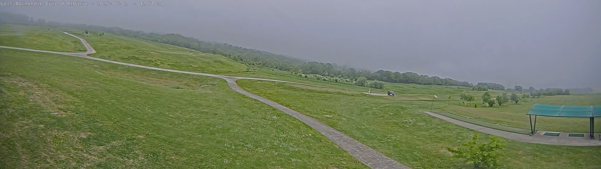 A golf course with paved paths under an overcast sky.