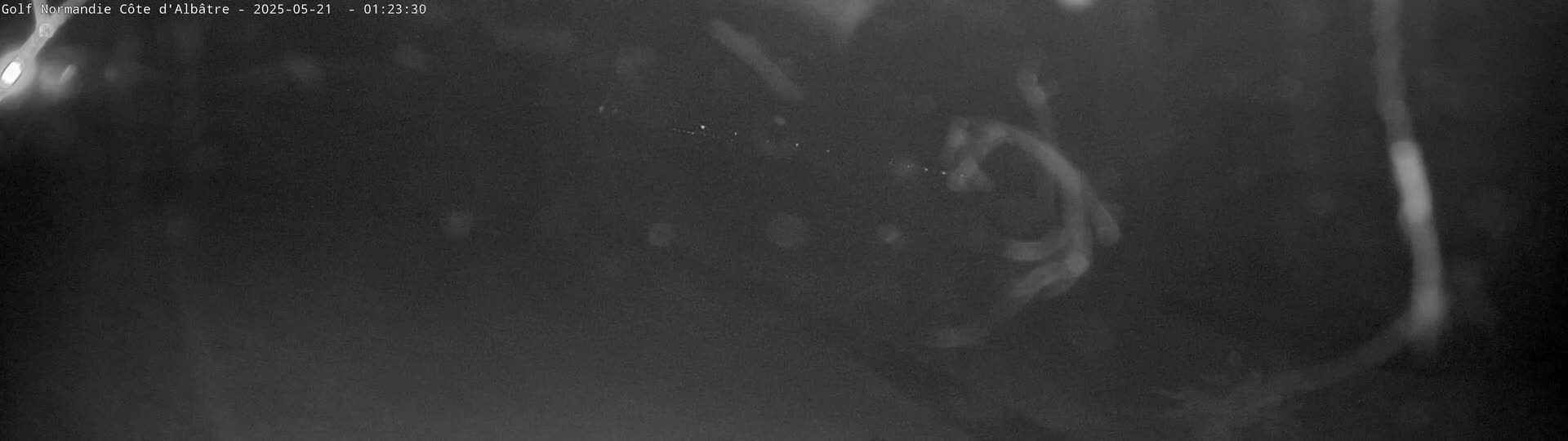 A grainy, low-light image shows indistinct shapes and possible water in dark, nighttime conditions.