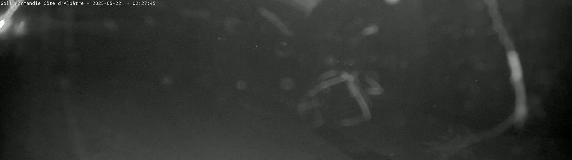 A grainy, dark image shows indistinct shapes and bright streaks, possibly taken at night.