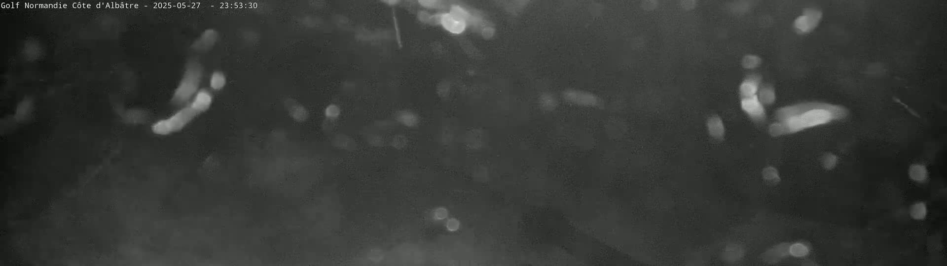 A grainy, dark gray image shows blurry, indistinct shapes scattered across the frame, possibly taken at night or in low light.