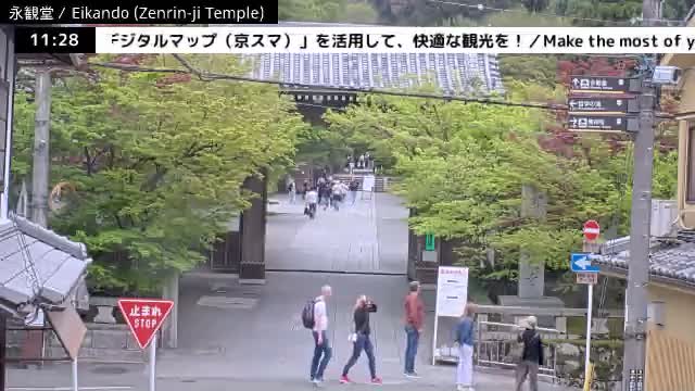 ( 永観堂（禅林寺）、京都、左京) Eikando (Zenrin-ji Temple), Kyoto, Sakyo Live Cam -  Eikandocho, Sakyo-ku, Kyoto, Kyōto, Kansai, Japan 
