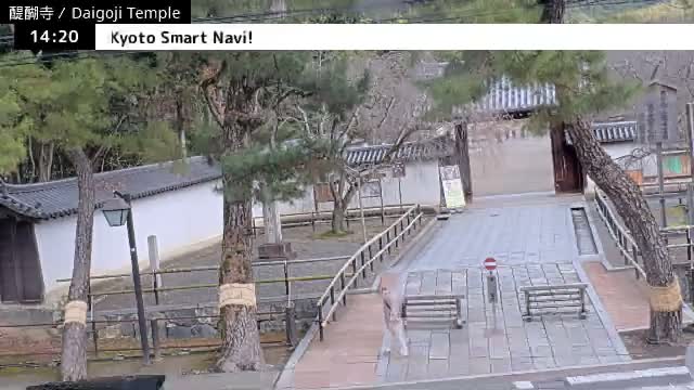 ( 山門 大御寺総門 京都・伏見の大御寺 ) Main Gate Daigo-ji Somon Daigoji Temple, Kyoto, Fushimi Live Cam -  Daigohigashiojicho, Fushimi-ku, Kyoto, Kyōto, Kansai, Japan 