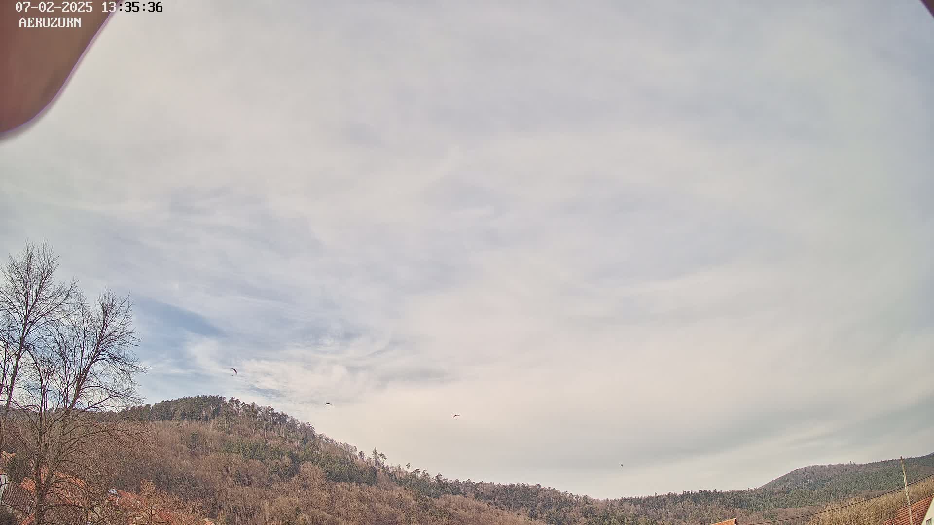 Reinhardsmunster Paragliding Club Flight Zone Live Cam - Saverne, Bas-Rhin, Grand Est, France