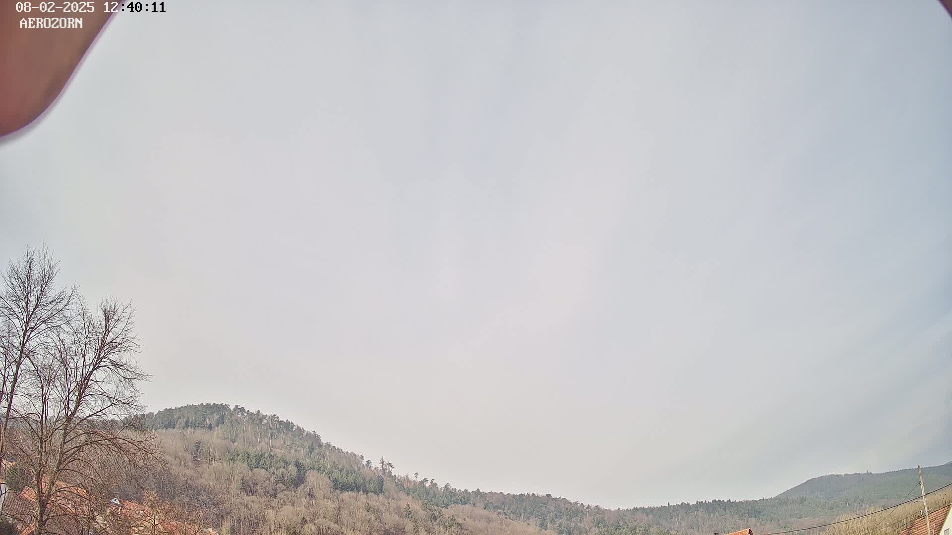 Under a mostly cloudy sky, bare winter trees stand in front of a gently sloping hill covered in a forest of leafless trees.