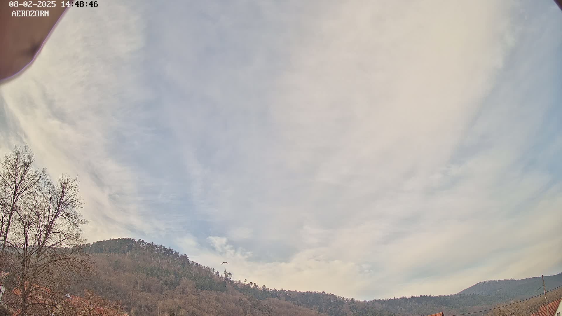 A paraglider flies beneath a mostly cloudy sky above a line of leafless trees on a hill.