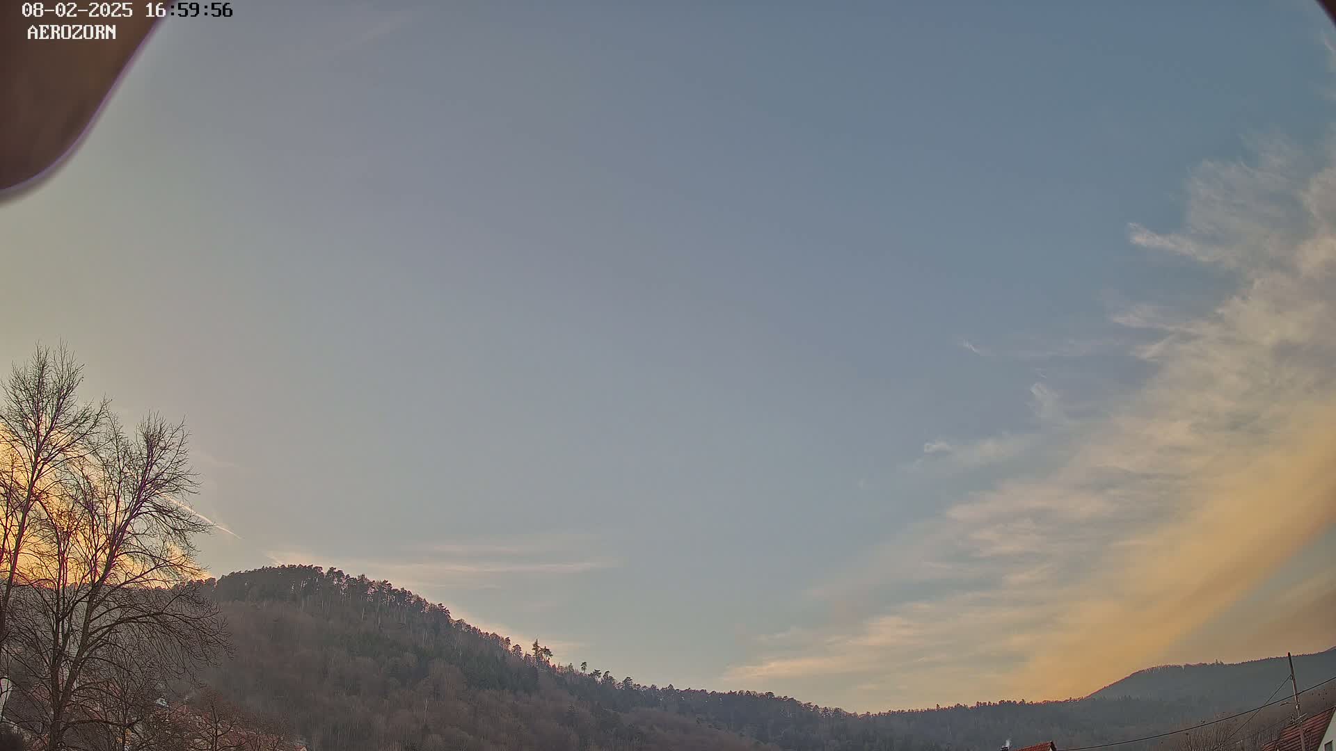 A mostly clear sky with wispy clouds at sunset over a line of bare, dark-green trees on a hill.