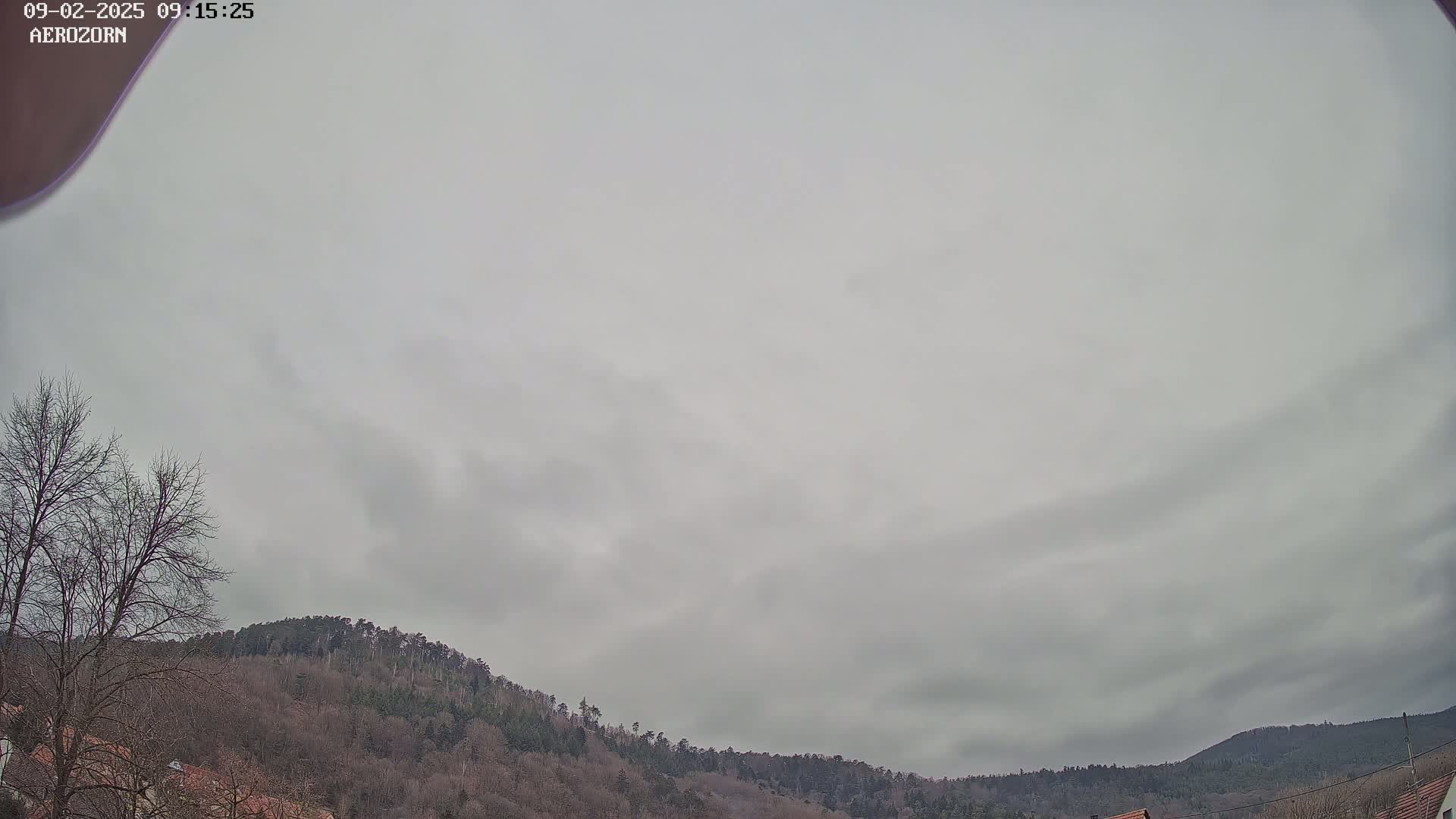 A mostly cloudy sky hangs over a line of bare, winter trees and hills.