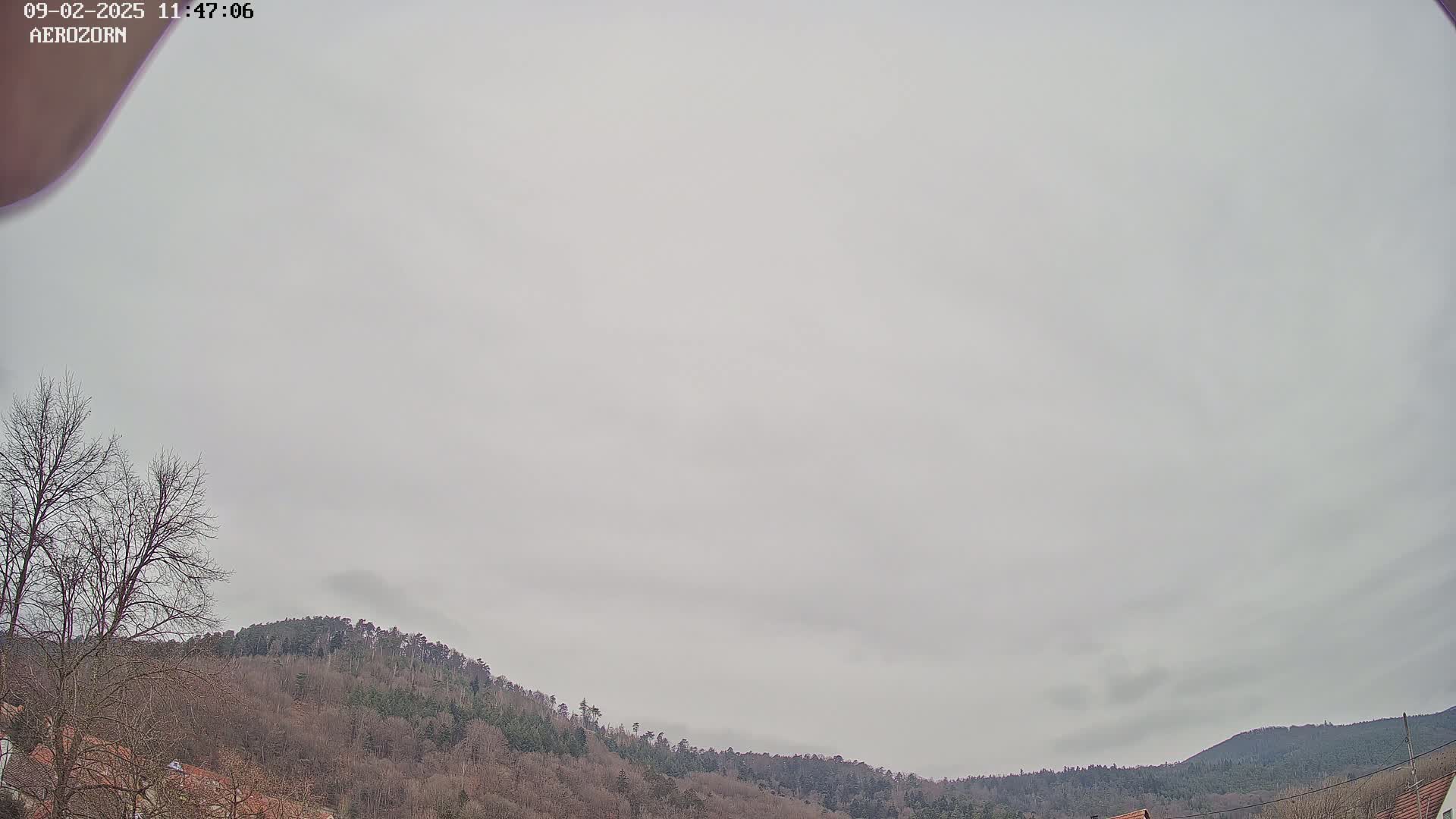 A mostly cloudy sky overlooks a low-lying hill covered in bare, winter trees.