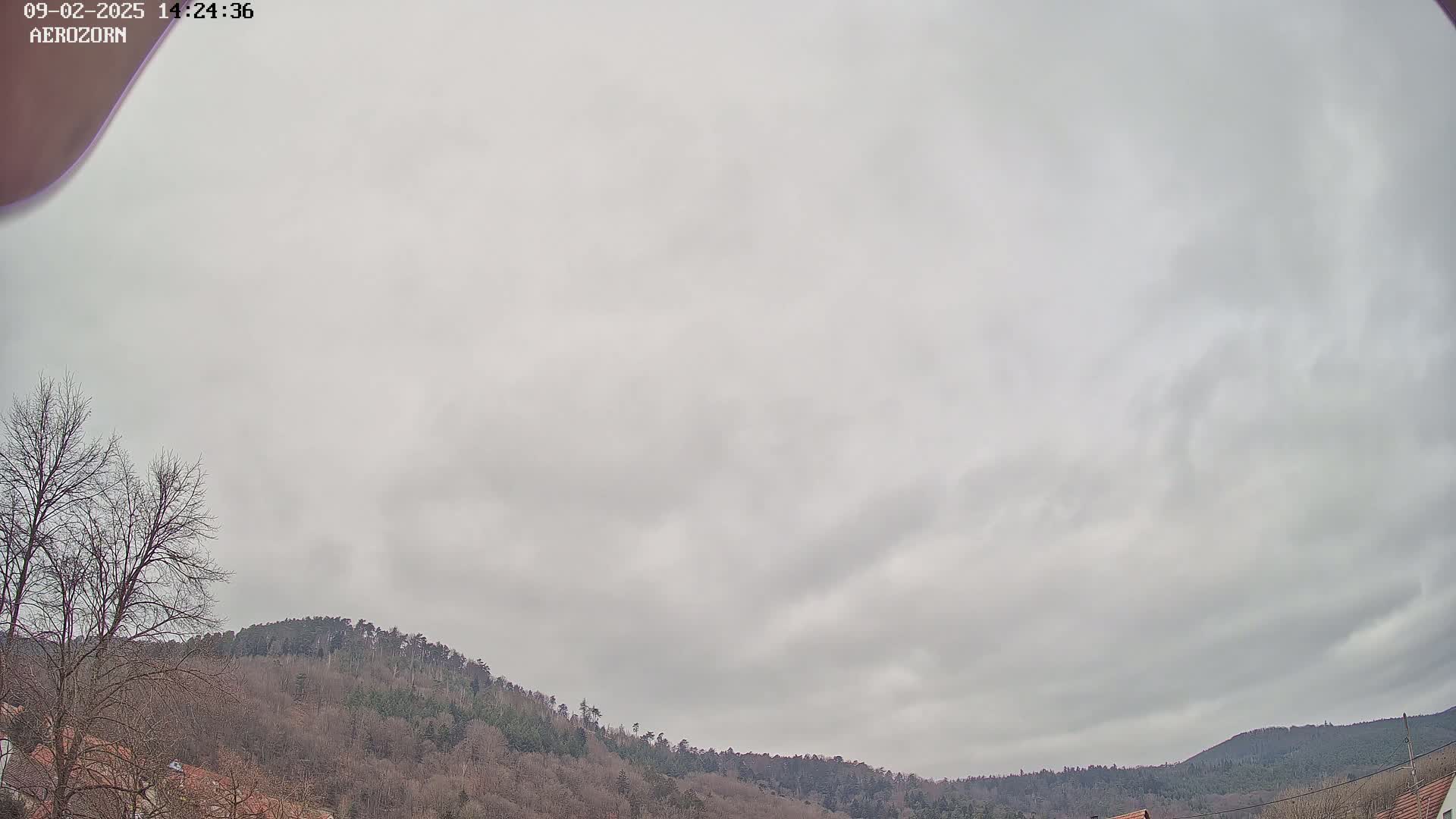 A view of a mostly cloudy sky over a line of bare, winter trees and hills.