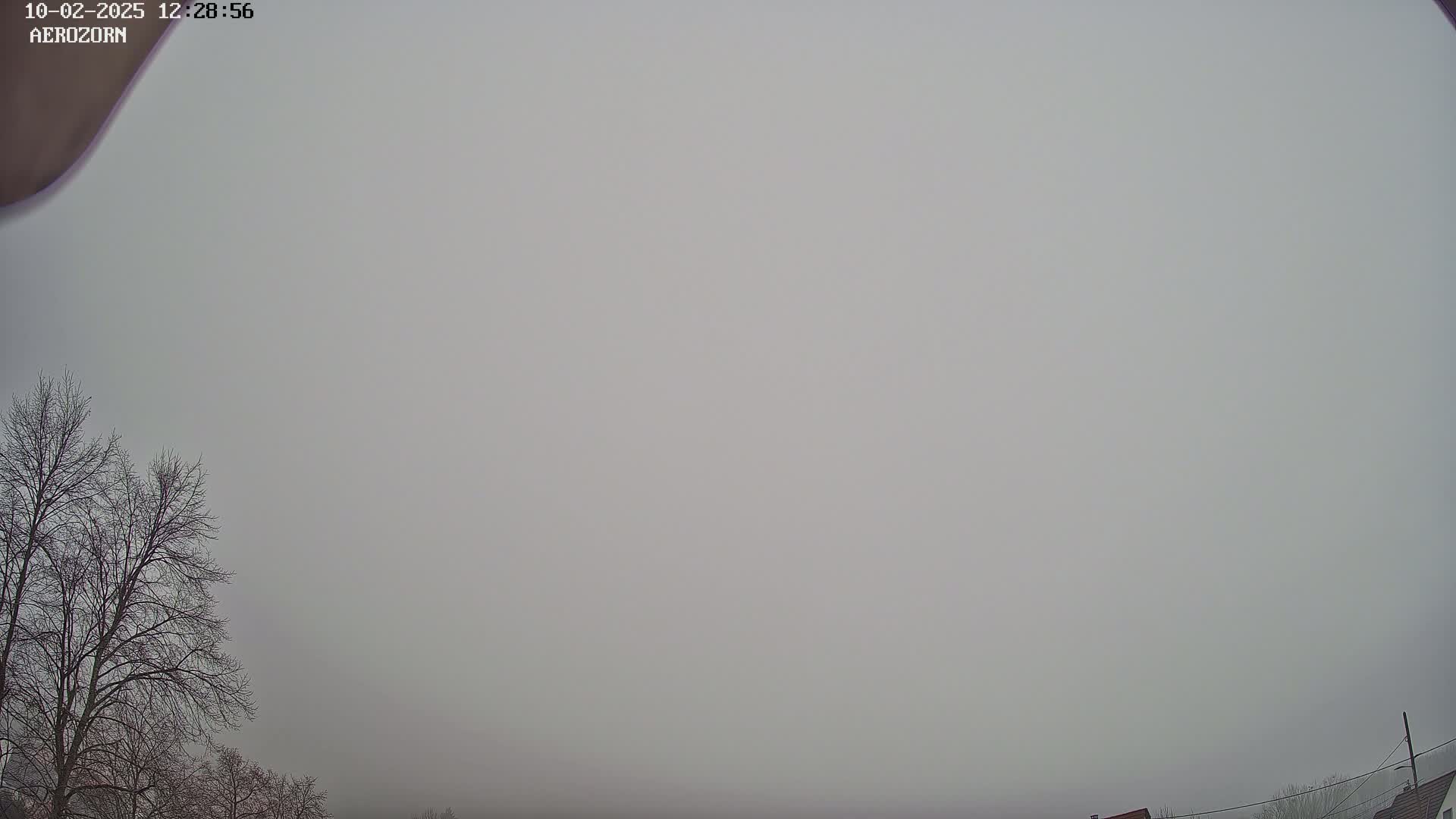 A foggy, overcast sky is visible above bare winter trees and the tops of houses.