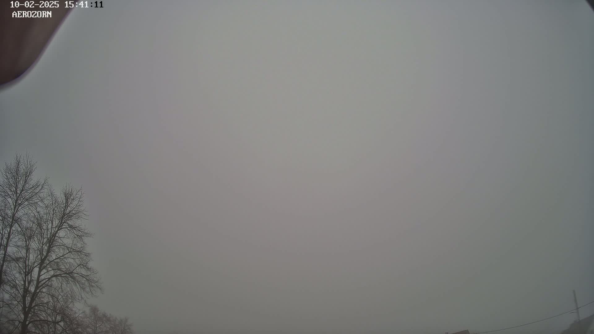 A thick fog obscures the view of bare trees and a portion of a building in the distance.