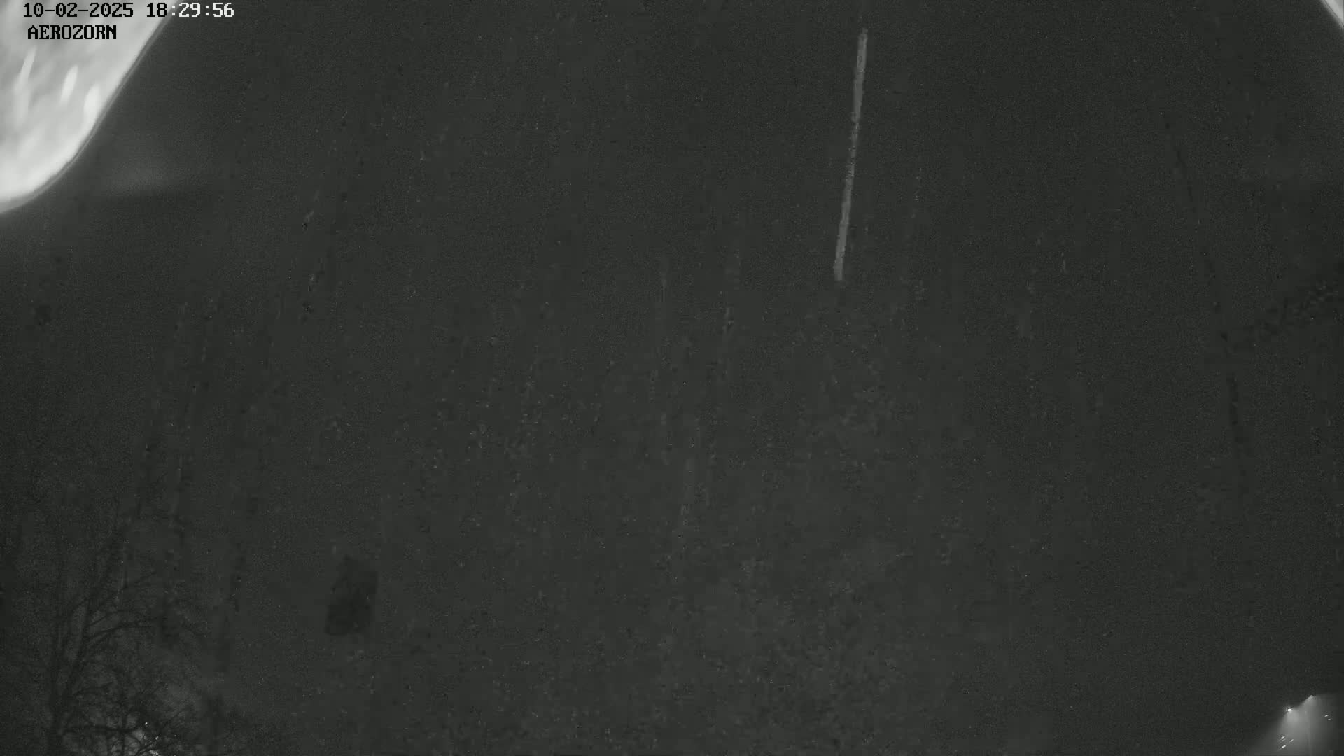 A nighttime, low-light image shows a dark, possibly rainy or snowy, outdoor scene with two bright vertical streaks in the sky and the silhouettes of trees in the bottom left corner.