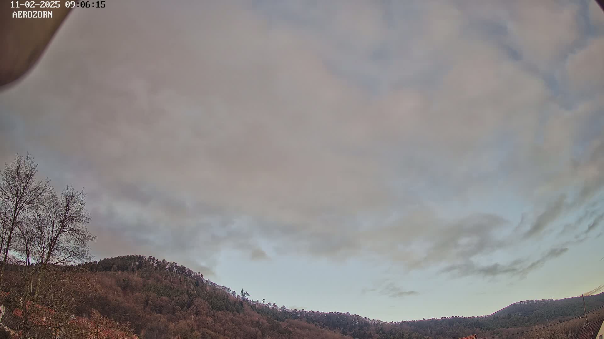 A mostly cloudy sky hangs over a line of bare, winter trees atop a hill.