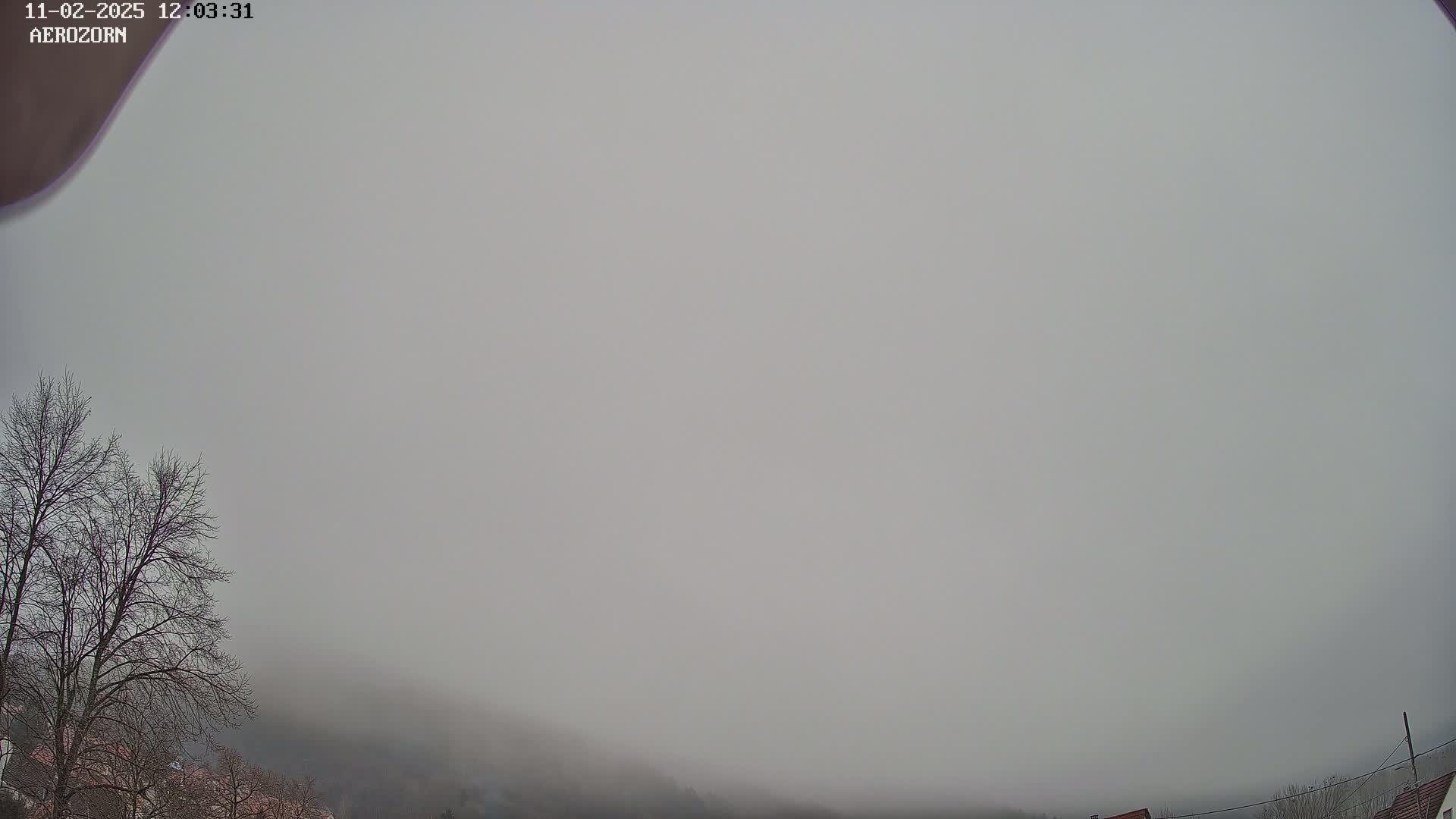 A thick fog obscures a view of bare trees and rooftops.
