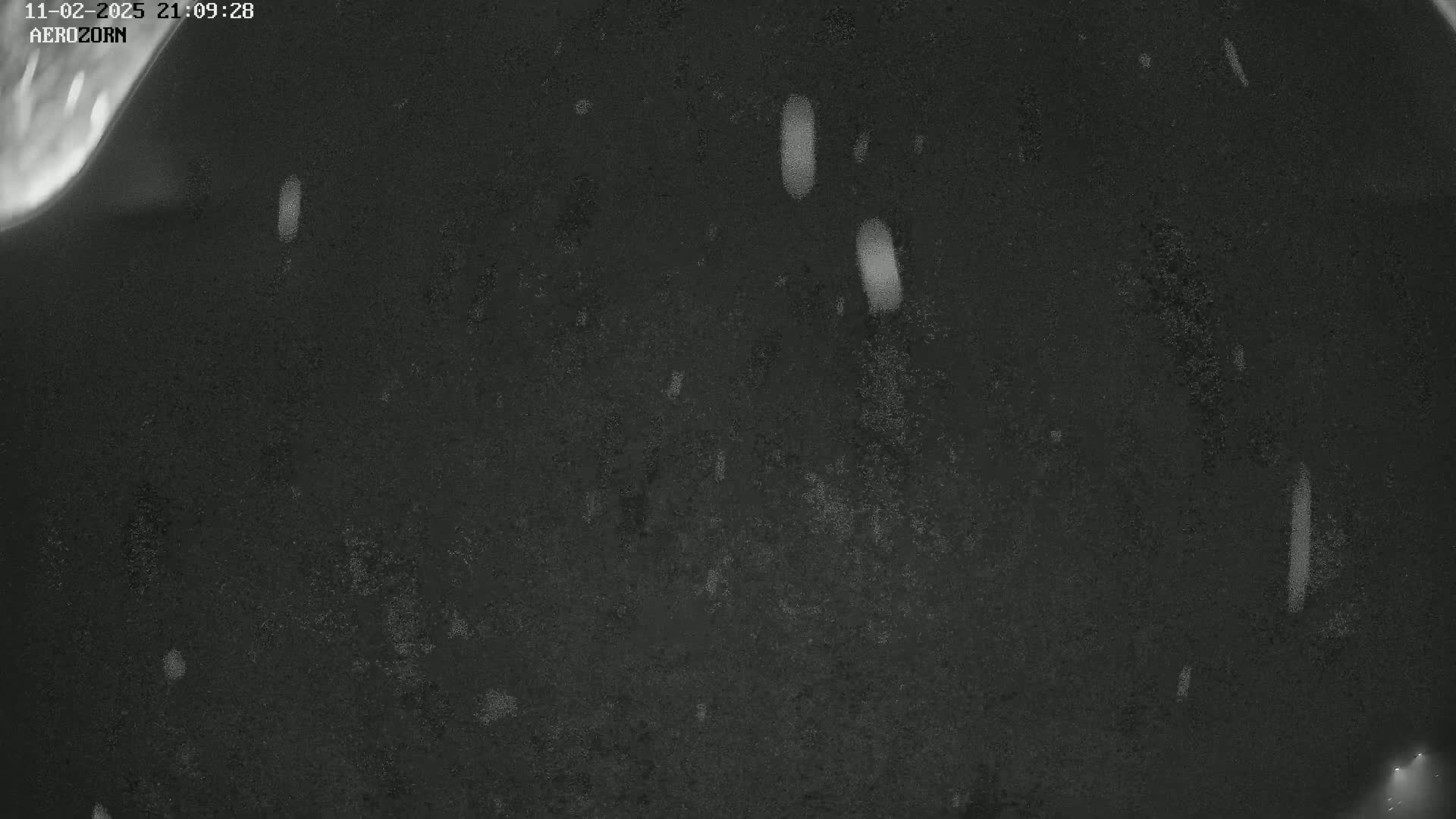 A dark, grainy surface is seen with light streaks and specks, possibly indicating snow falling at night.