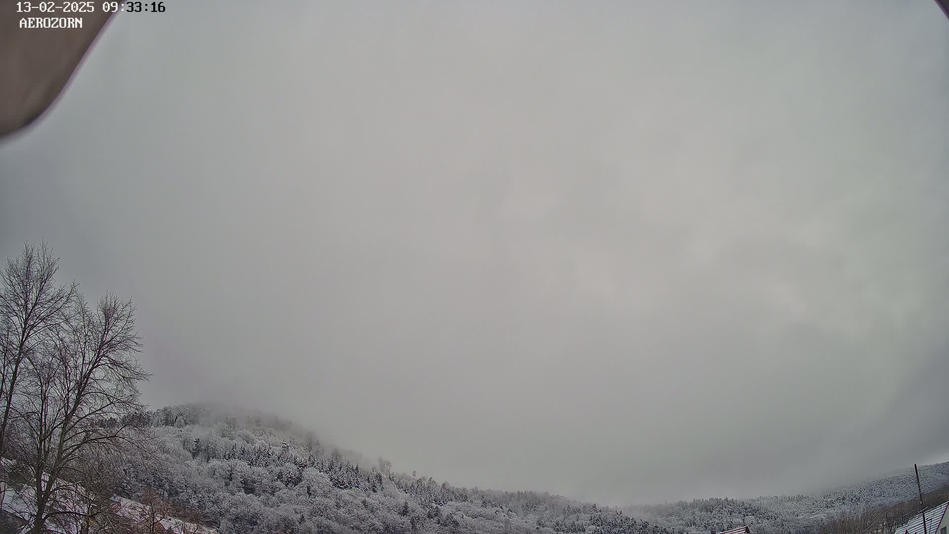 A snow-covered forest is visible beneath a thick, overcast sky.