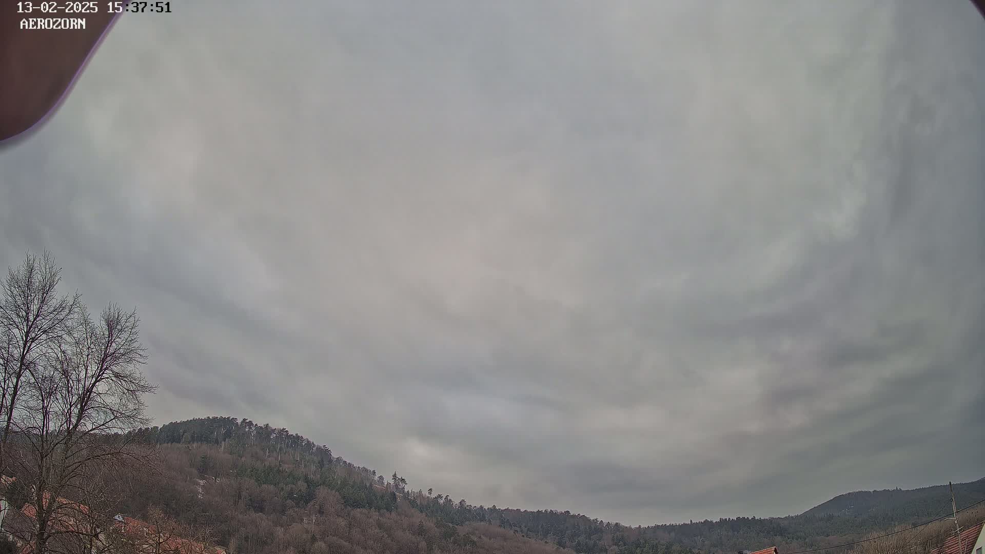 A mostly cloudy sky hangs over a line of leafless, dark-colored trees and hills.
