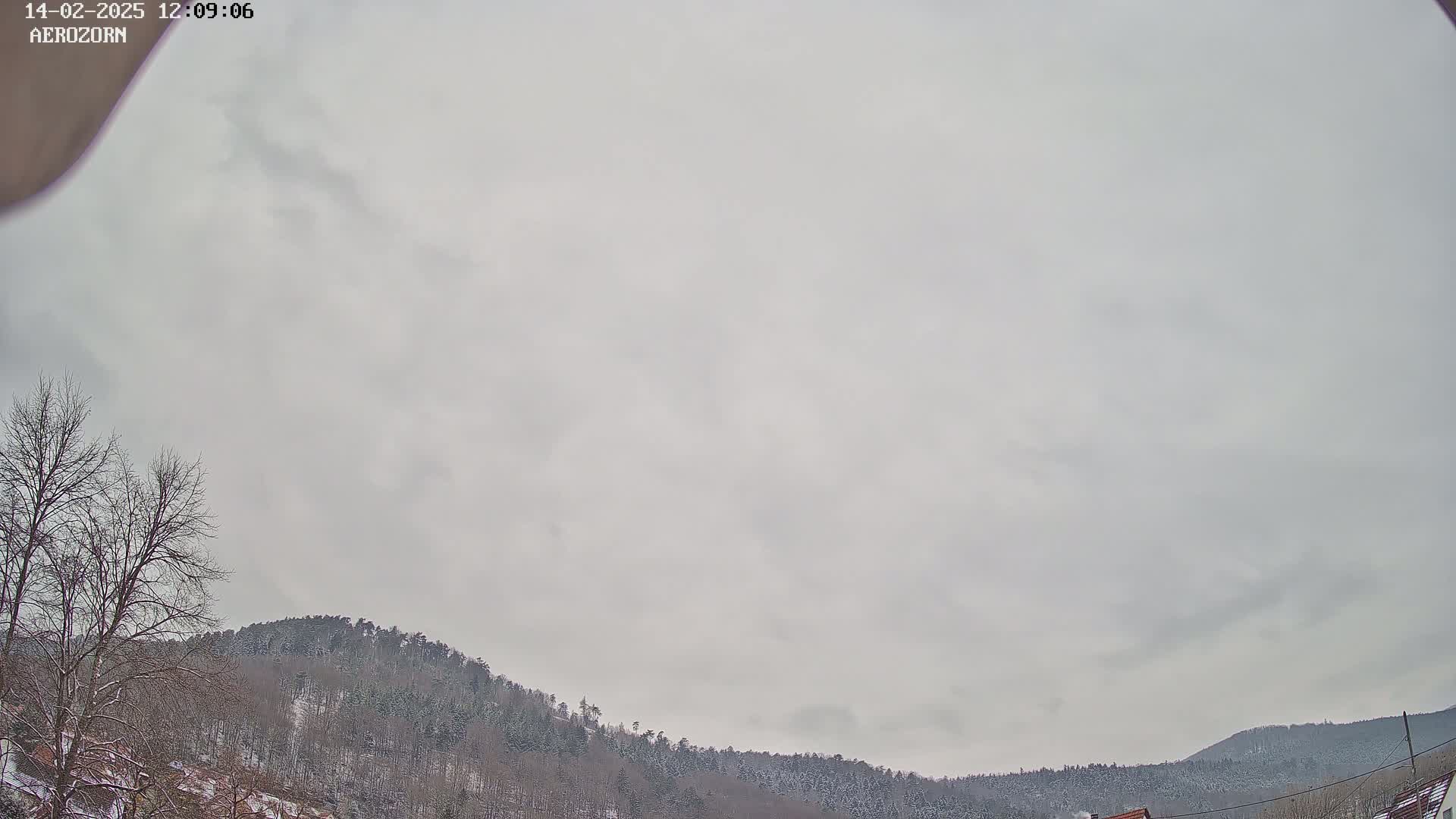 A snow-covered, hilly woodland landscape is visible under an overcast sky.