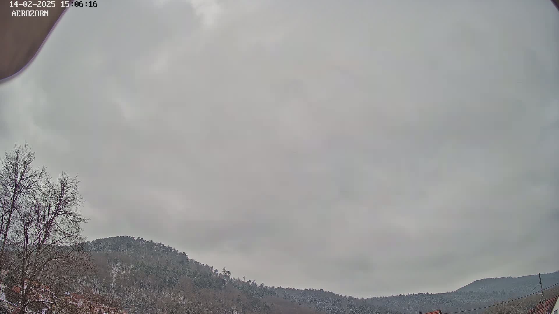 A snow-dusted hillside covered in trees is visible under an overcast sky.