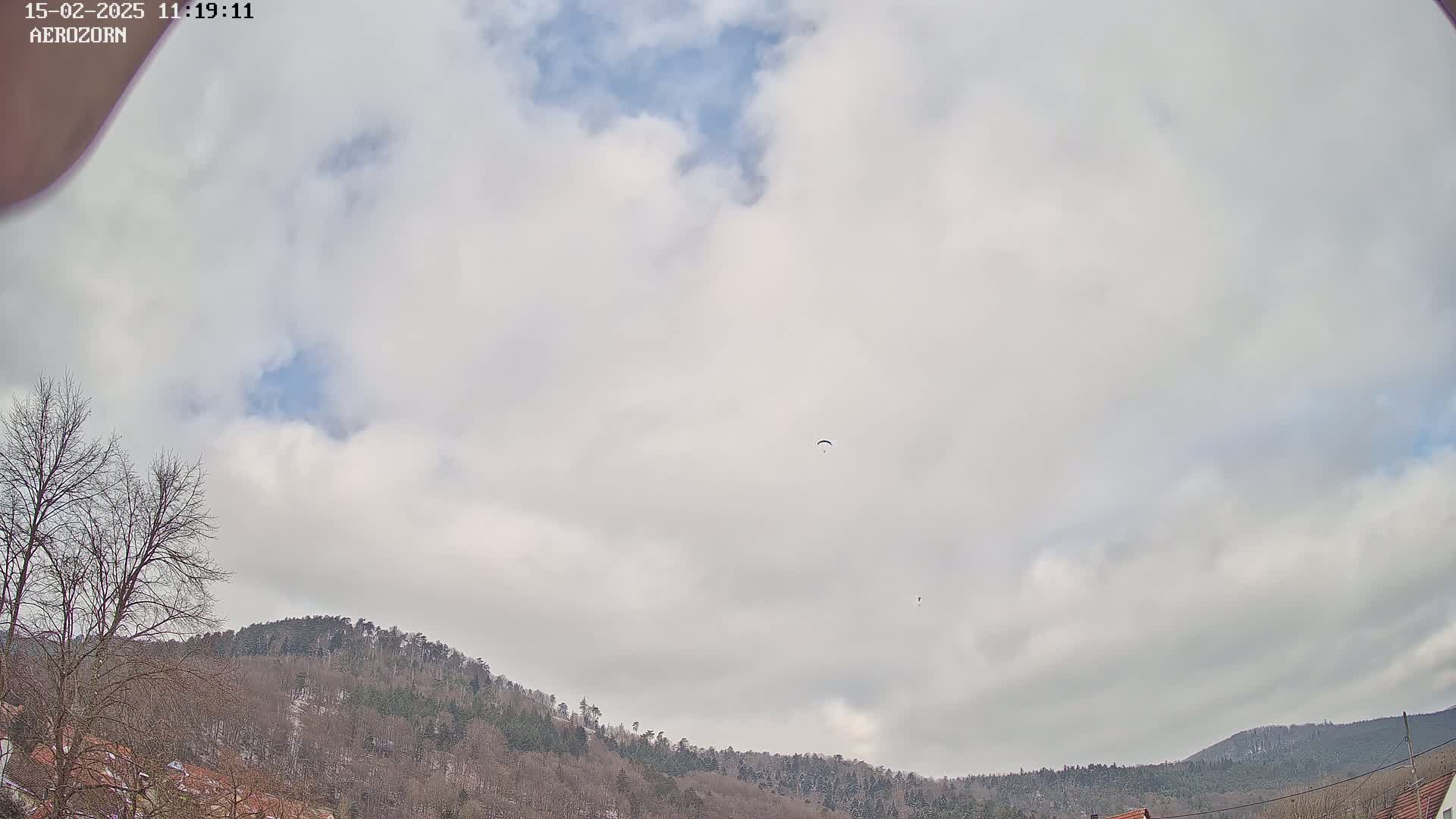 A paraglider flies in an overcast sky above a line of snow-dusted, leafless trees on a hillside.