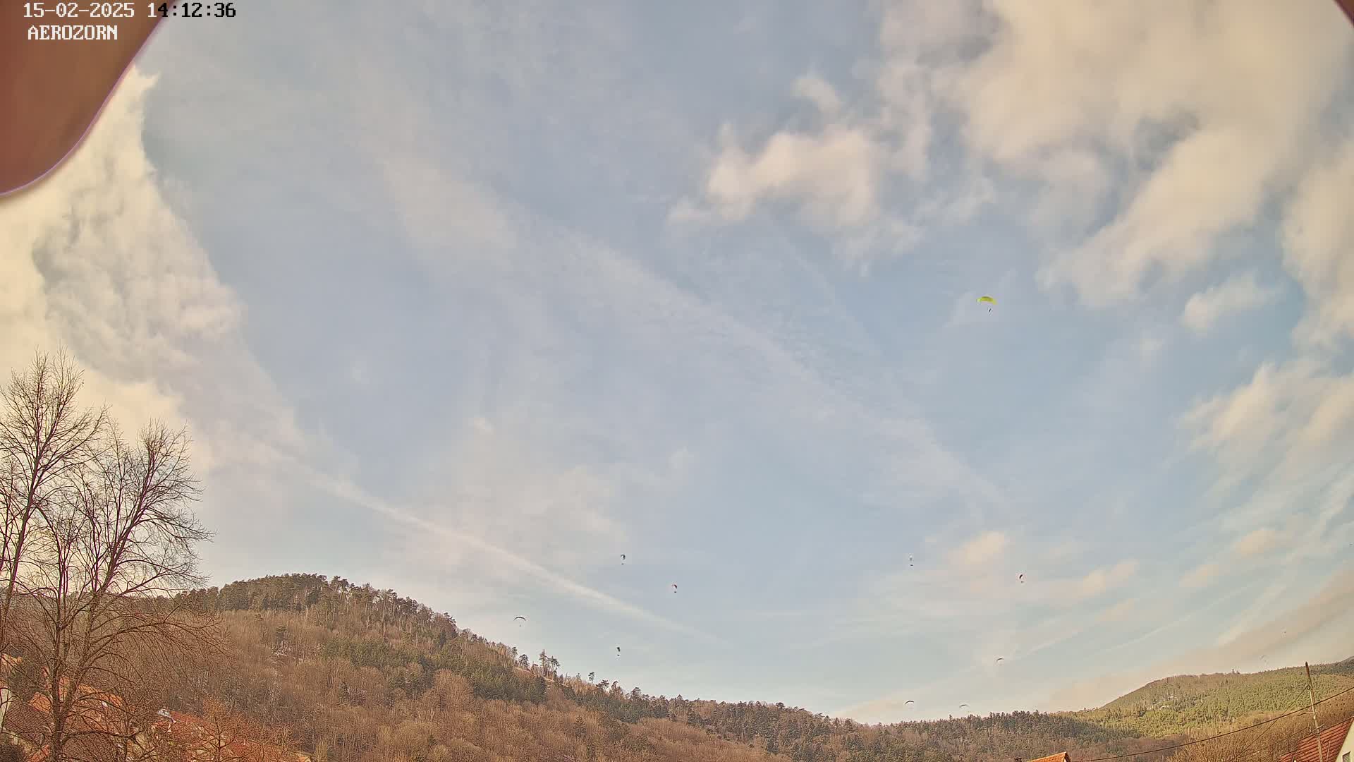Several paragliders fly against a partly cloudy sky over a line of bare, winter trees on a hillside.
