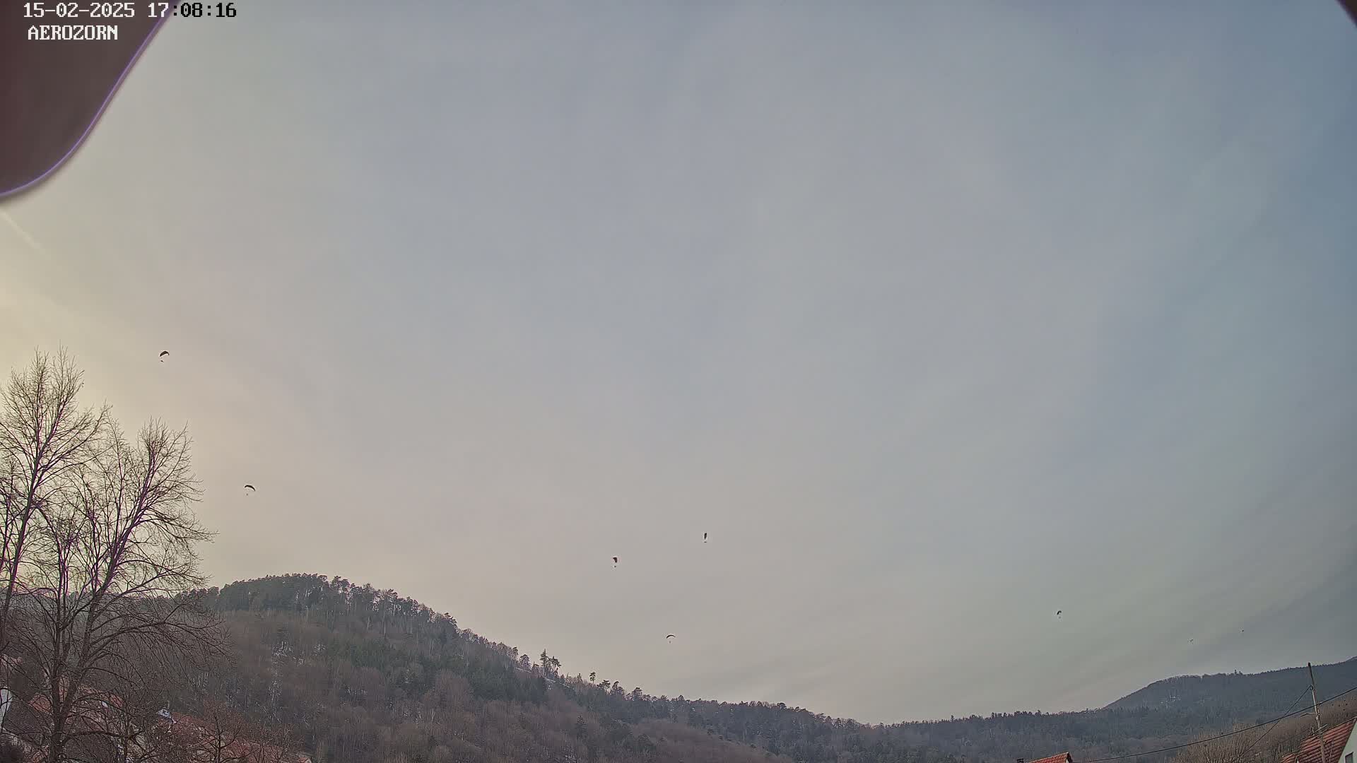 Several paragliders are visible in a pale sky above a line of bare, winter trees and hills.