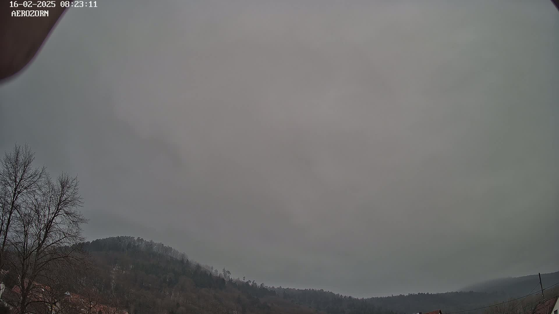 A hazy, overcast sky hangs above a line of dark, leafless trees and hills.