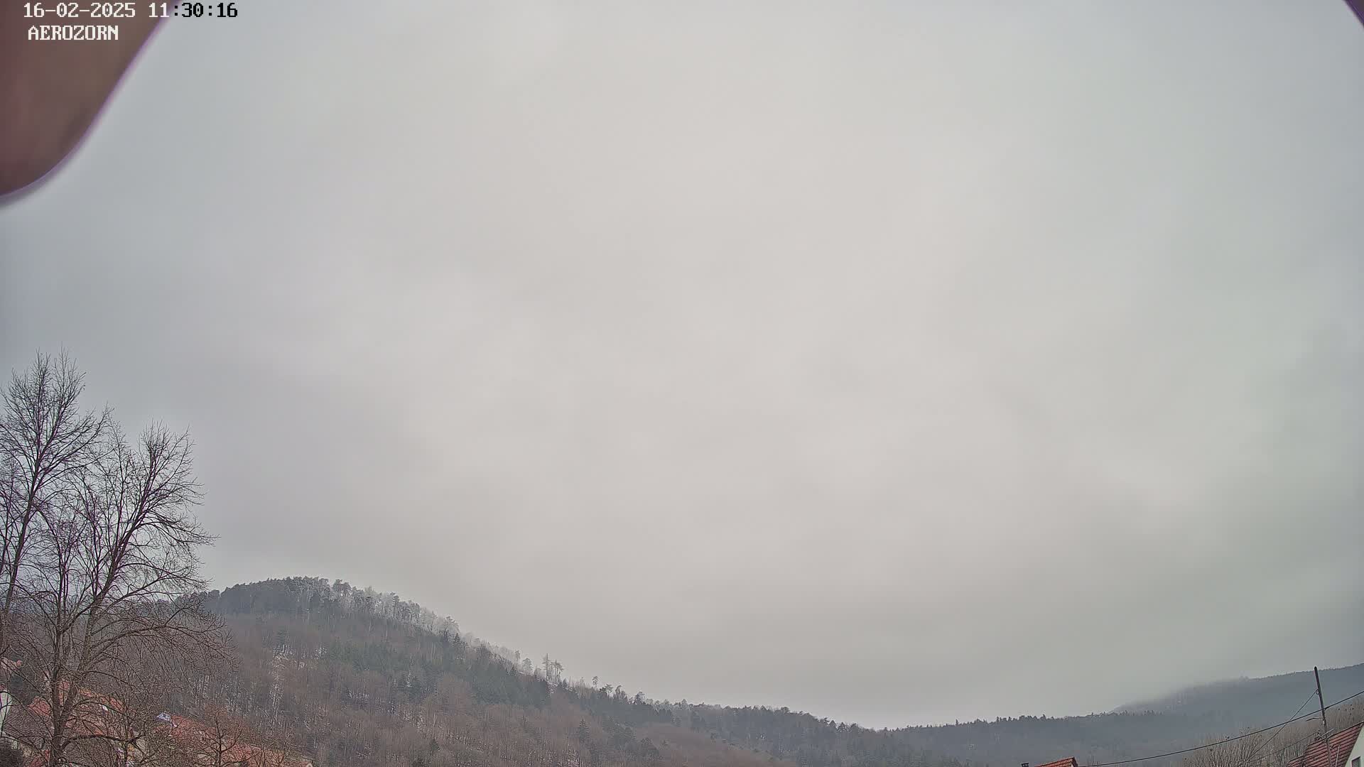 A mostly overcast sky hangs over a line of bare, winter trees and hills.
