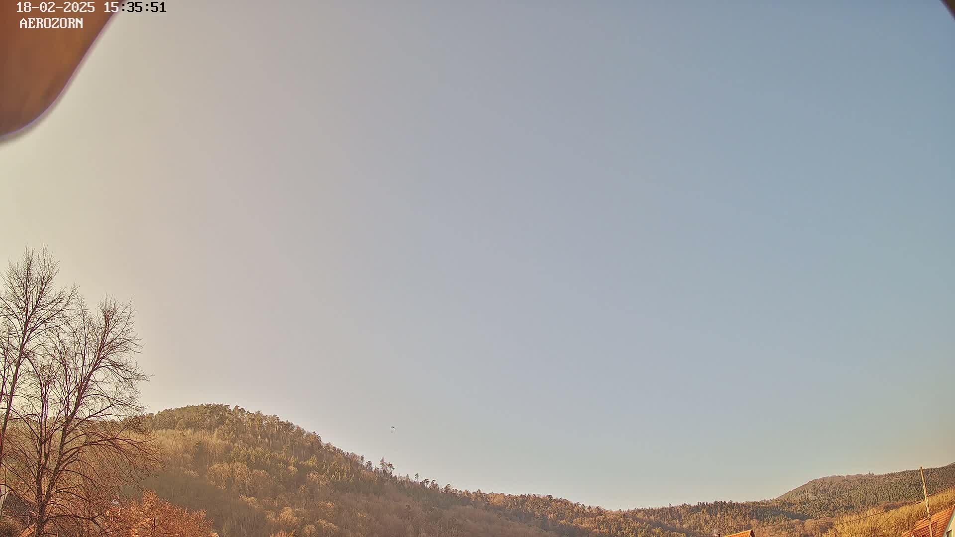 A mostly clear, pale blue sky is visible above a gently sloping hillside covered in mostly bare, brown trees.