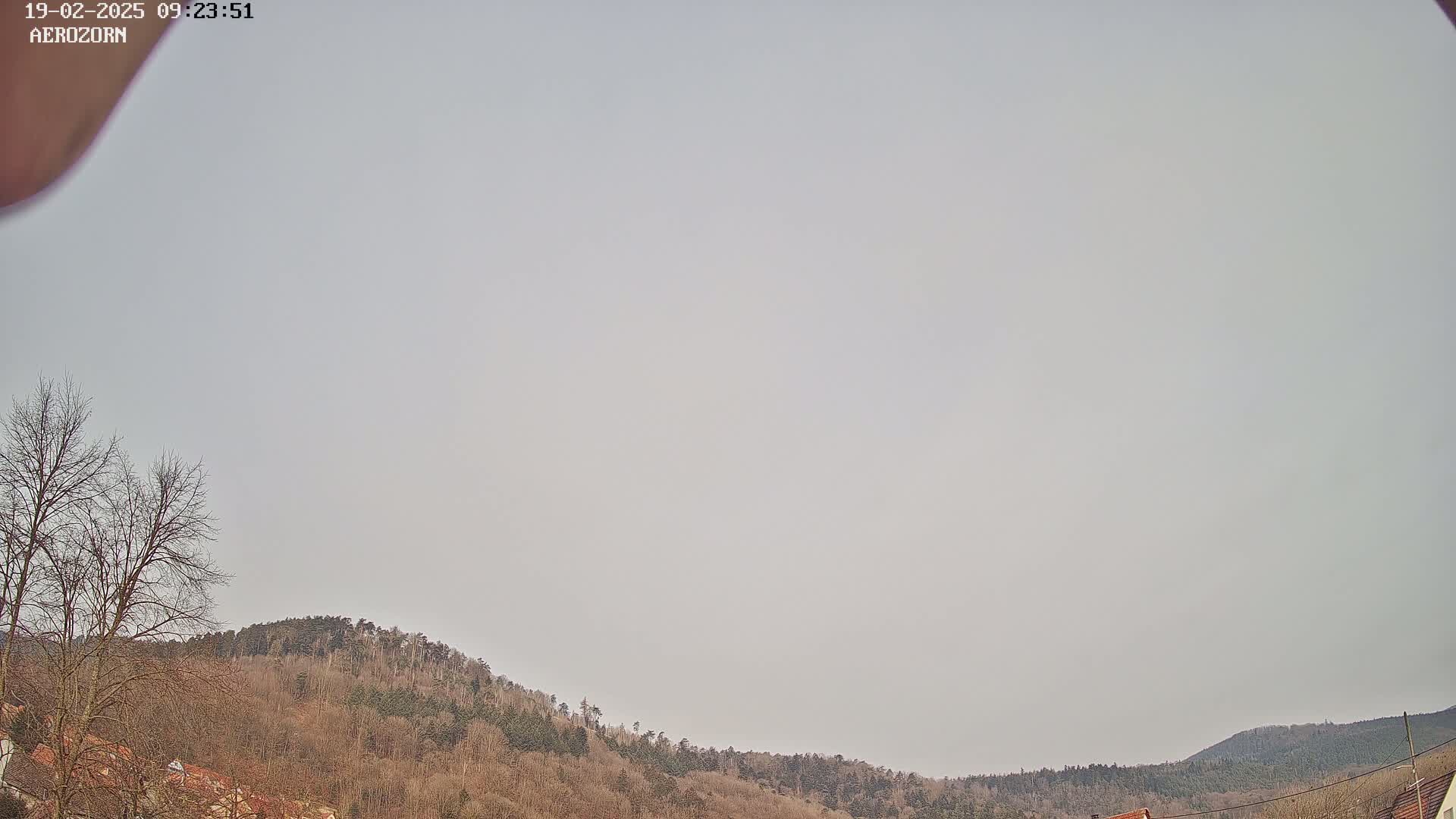 A mostly cloudy sky hangs over a line of bare, winter trees and hills.