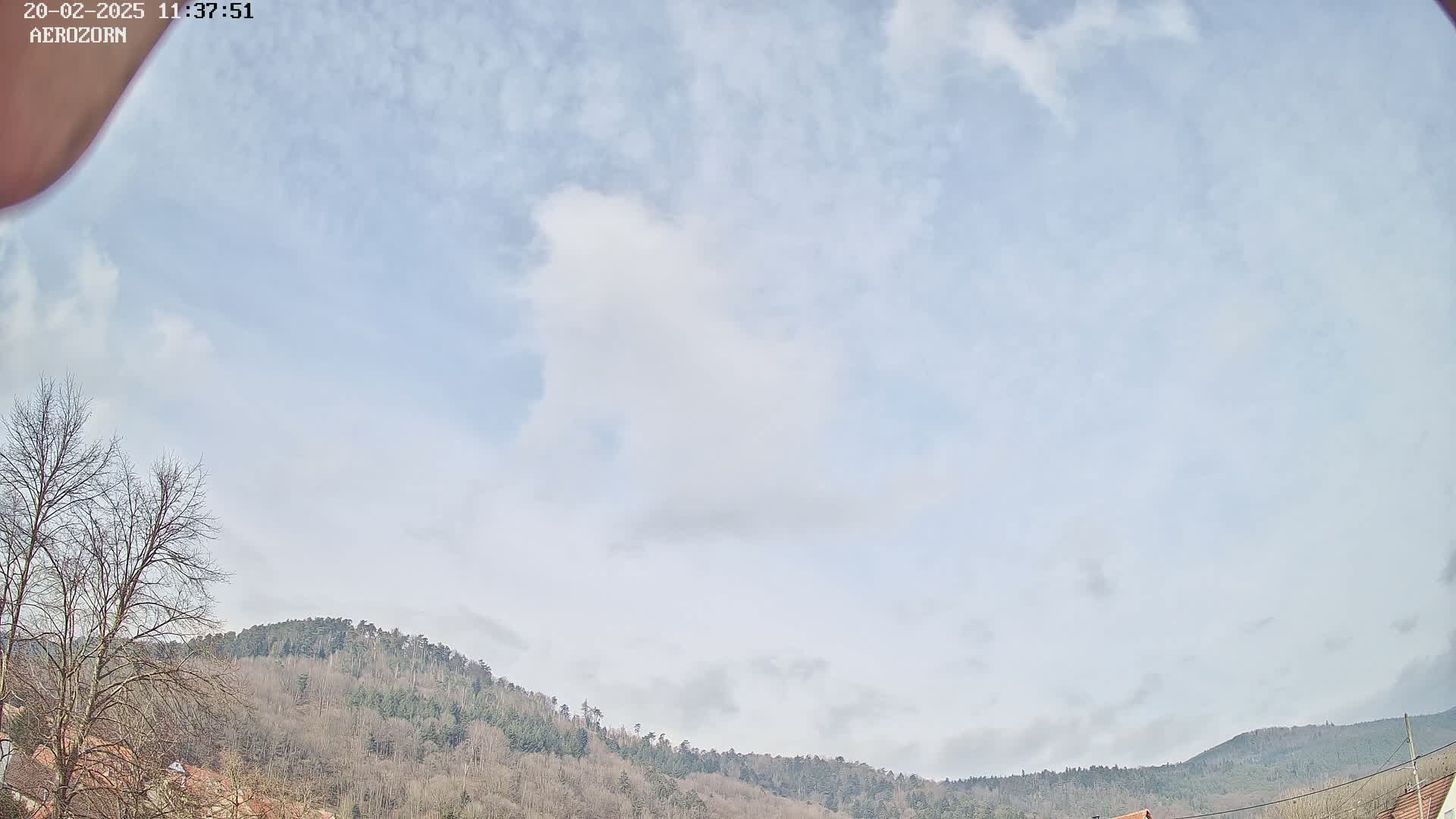 A mostly clear sky with scattered clouds overlooks a line of leafless trees and hills.