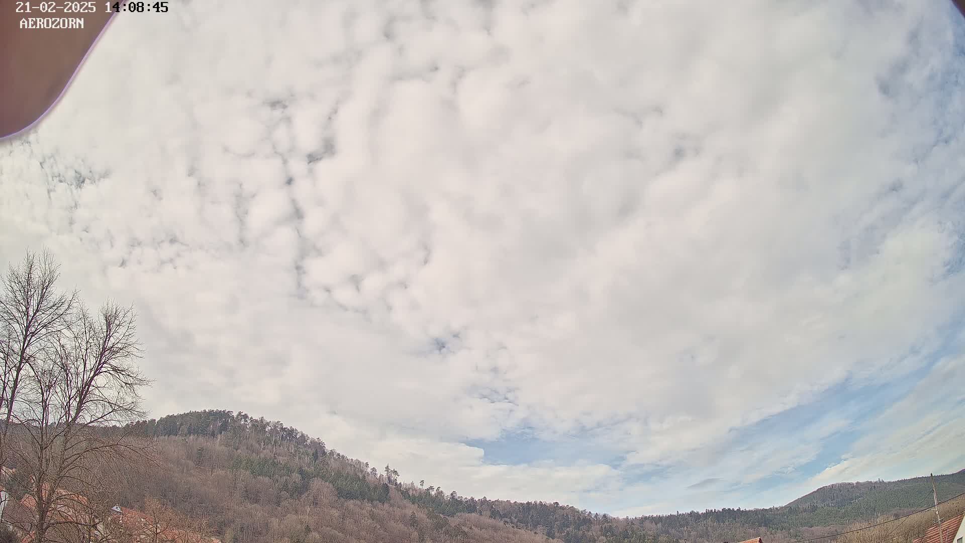 A mostly cloudy sky is visible above a line of bare, winter trees and hills.